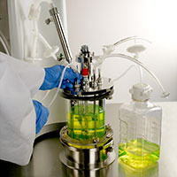 Bioreactor Tubing Kits